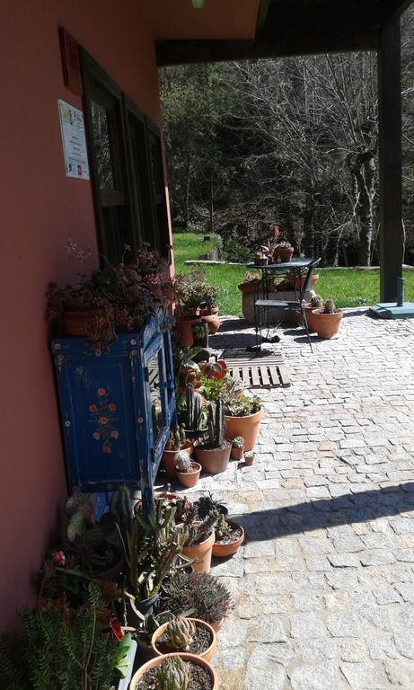 Eco Camping Juncal Hotell Marco de Canavezes Exteriör bild