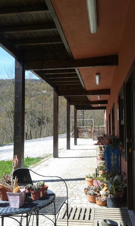 Eco Camping Juncal Hotell Marco de Canavezes Exteriör bild