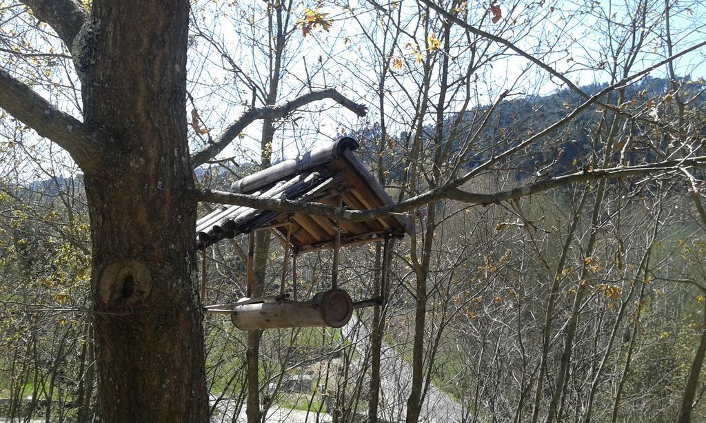 Eco Camping Juncal Hotell Marco de Canavezes Exteriör bild