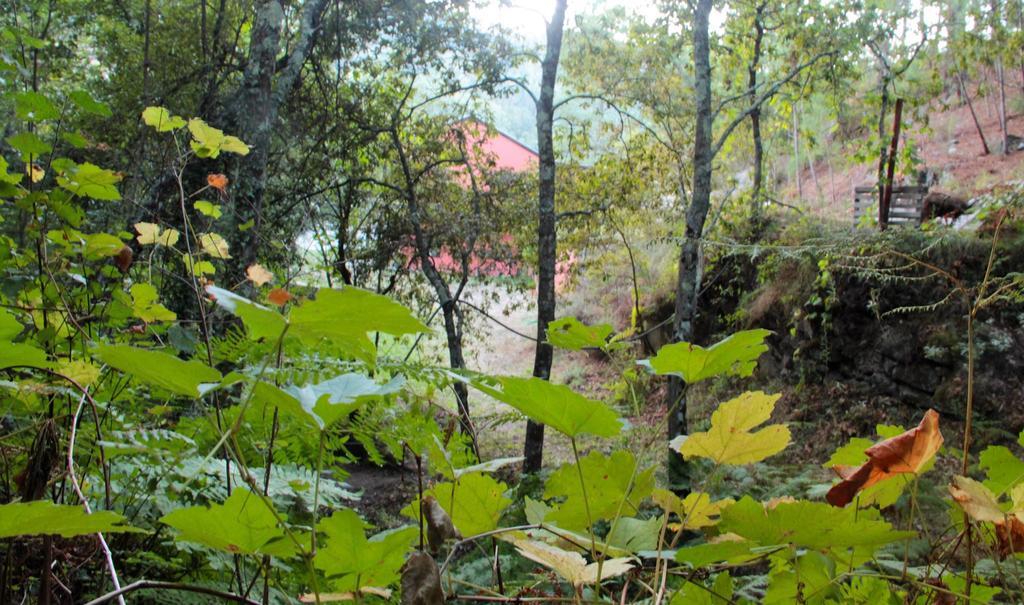 Eco Camping Juncal Hotell Marco de Canavezes Exteriör bild
